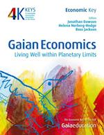 Gaian Economics