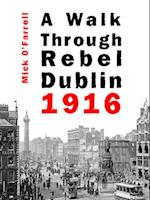Walk Through Rebel Dublin 1916