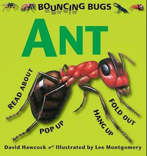 Bouncing Bugs - Ant