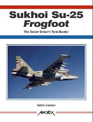 Sukhoi Su-25 Frogfoot