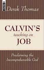 Calvin's Teaching on Job