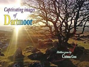 Captivating Images of Dartmoor