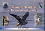 Enjoying Birdwatching in Lancashire and Cumbria