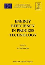 Energy Efficiency in Process Technology