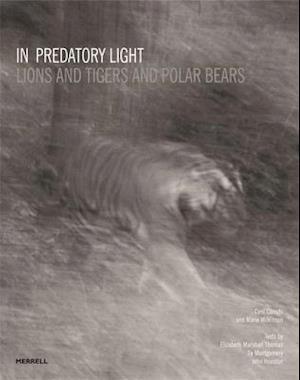 In Predatory Light