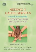 Meddyg y Galon Glwyfus - Gofal am Iechyd Meddwl a Chymwynas Fawr Dr David Enoch