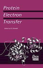 Protein Electron Transfer