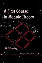 First Course In Module Theory, A