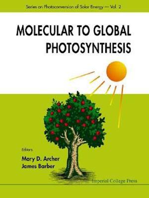 Molecular to Global Photosynthesis