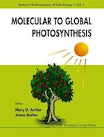 Molecular to Global Photosynthesis