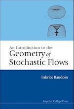 Introduction To The Geometry Of Stochastic Flows, An