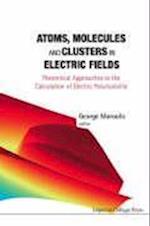 Atoms, Molecules And Clusters In Electric Fields: Theoretical Approaches To The Calculation Of Electric Polarizability