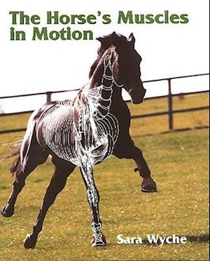 The Horse's Muscles in Motion