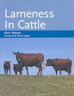 Lameness in Cattle
