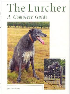 The Lurcher