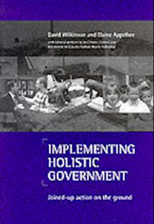 Implementing holistic government