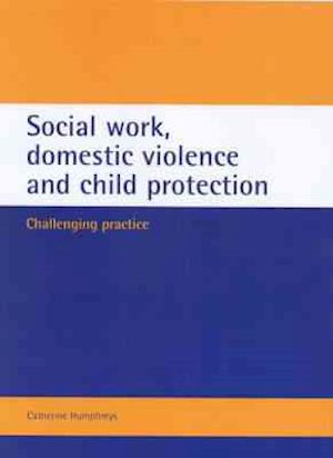 Social work, domestic violence and child protection