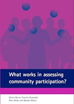 What works in assessing community participation?