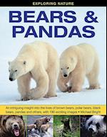 Exploring Nature: Bears & Pandas