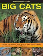 Exploring Nature: Big Cats
