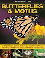 Exploring Nature: Butterflies & Moths