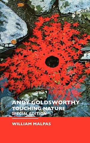 Andy Goldsworthy