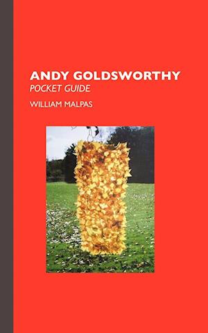 Andy Goldsworthy