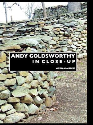 Andy Goldsworthy in Close-Up