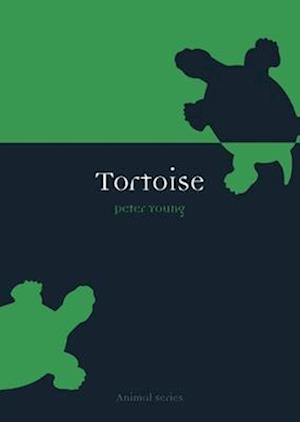 Tortoise