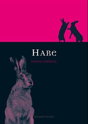 Hare