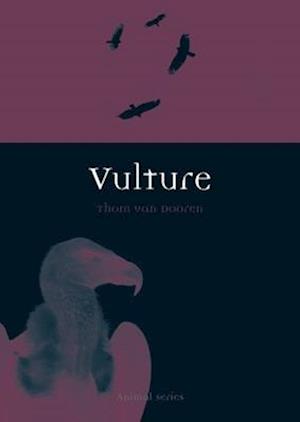 Vulture