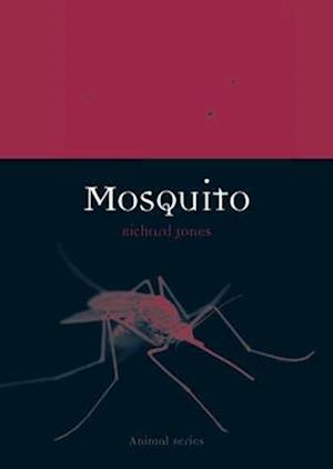 Mosquito