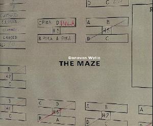 Maze