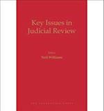 Key Issues in Judicial Review