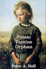 Potato Famine Orphan