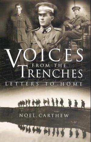 Voices from the Trenches