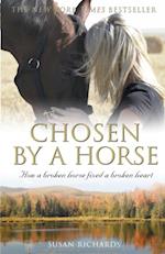 Chosen By A Horse