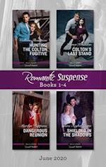 Romantic Suspense Box Set 1-4 June 2020/Hunting the Colton Fugitive/Colton's Last Stand/Dangerous Reunion/Shielded in the Shadows