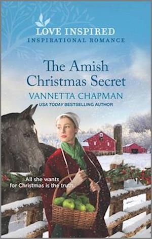 Amish Christmas Secret