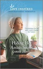 Hiding Her Amish Secret