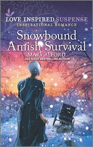 Snowbound Amish Survival