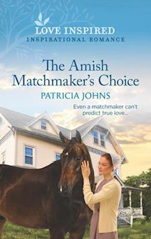 Amish Matchmaker's Choice