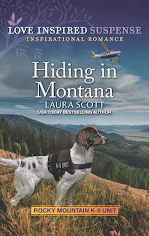 Hiding in Montana