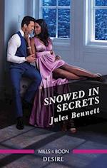 Snowed In Secrets