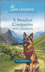 Steadfast Companion