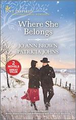 Where She Belongs/Amish Homecoming/Snowbound with the Amish Bac