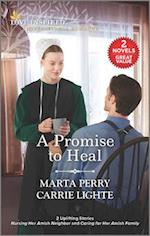 Promise to Heal/Nursing Her Amish Neighbor/Caring for Her Amish