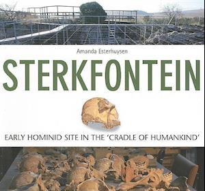 Sterkfontein