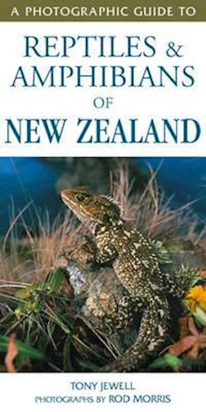 Photographic Guide To Reptiles & Amphibians Of New Zealand