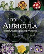 Auricula: History, Cultivation and Varieties
